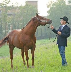 Allevamento Damiano Righetti Quarter e Paint Horse, Sona orari di apertura