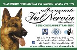 Allevamento Val Nervia - Pastore Tedesco dal 1979, Cornate d'Adda orari di apertura