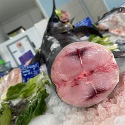 Pescheria La Stella di Nicholas Izzo, Lamezia Terme orari di apertura