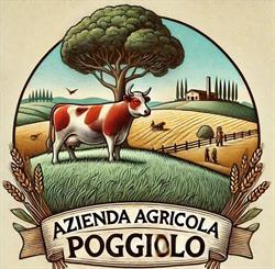 AZIENDA AGRICOLA POGGIOLO, Monterenzio orari di apertura