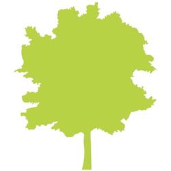 ARBOR srl, Vignola orari di apertura