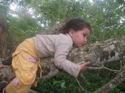 Asilo Nel Bosco - Escuelita Viva, Roma orari di apertura