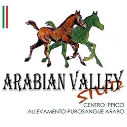 Arabian Valley Stud - Allevamento Puro sangue Arabo - Centro Ippico, Morciano di Romagna orari di apertura