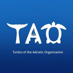 TAO Turtles of the Adriatic Organization Comacchio, Lido Di Spina - Orari di apertura