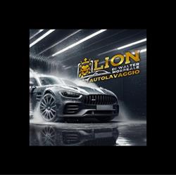 Lion autolavaggio, Termini Imerese orari di apertura