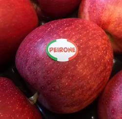 Azienda Agricola Peirone, Villanova Mondovì orari di apertura