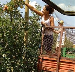 Azienda agricola Furlani Andrea, Villaorba orari di apertura