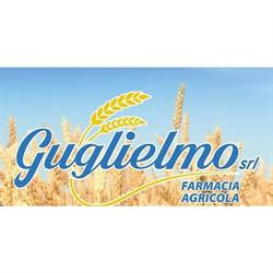 Guglielmo srl, Conza della Campania orari di apertura