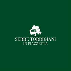 Serre Torrigiani in Piazzetta, Firenze orari di apertura