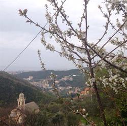Centro Scout Spensley Park, Genova orari di apertura