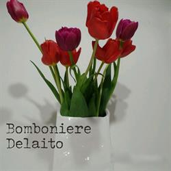 Bomboniere Delaito di Follador Anna, Feltre orari di apertura