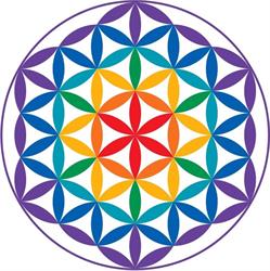 Centro Yoga Il Fiore della Vita, Cesena orari di apertura