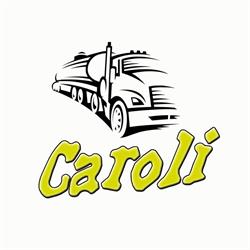 Caroli Trasporto Acqua e Noleggi, Taurisano orari di apertura