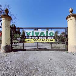 Flormarket, San Damaso orari di apertura