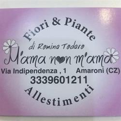 Fiorista M’ama Non M’ama, Amaroni orari di apertura