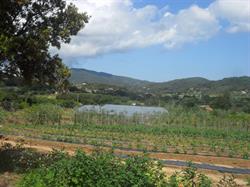 Azienda Agricola "Il Boschetto" Capoliveri, orari di apertura