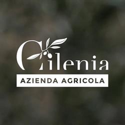 Cilenia Azienda Agricola, Celleno orari di apertura