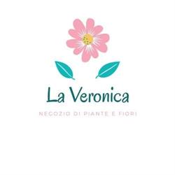 LA VERONICA di Montagnino Giovanni, Vicari orari di apertura