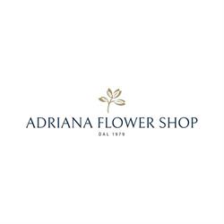 Adriana Flower Shop, Domus de Maria orari di apertura