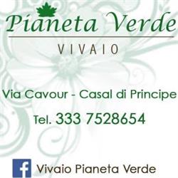 Vivaio Pianeta Verde, Casal di Principe orari di apertura