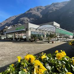 Floricoltura SIAMO AL VERDE fiori e giardini, Crodo orari di apertura