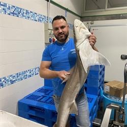 Pescheria la Perla di Manfredonia da Lino e Melania, Foggia orari di apertura