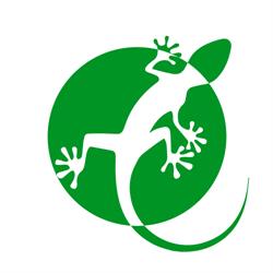 Herp Italia - terrari ed accessori per rettili ed animali esotici Cerea, Asparetto - Orari di apertura