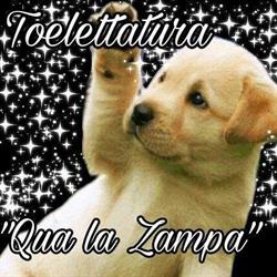 Qua la zampa, Bondeno orari di apertura