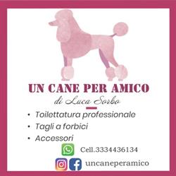 Un cane per amico di Luca Sorbo, Crispano orari di apertura