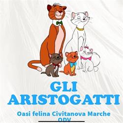 Oasi Felina Gli Aristogatti, Civitanova Marche orari di apertura