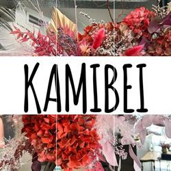 kamibei parrucchieri, Carpi orari di apertura