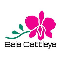Baia Cattleya, Ortona orari di apertura