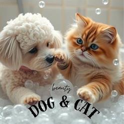 Beauty Dog And Cat, Napoli orari di apertura