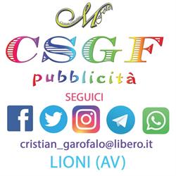 CSGF Pubblicità, Lioni orari di apertura
