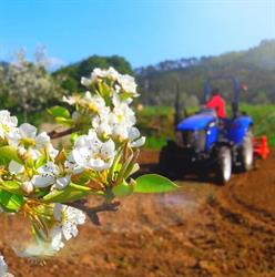 Azienda Agricola Tomei Giacomo, Lucca orari di apertura
