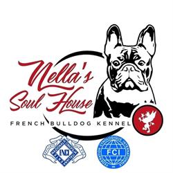 Nella's Soul House, Arezzo orari di apertura