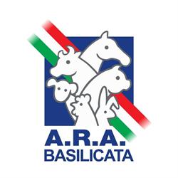 ARA BASILICATA, Potenza orari di apertura