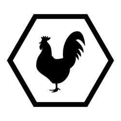 Rooster Streetfood Rotisserie Porto Antico, Genova orari di apertura