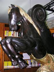 Biblioteca comunale di Villanovaforru, orari di apertura
