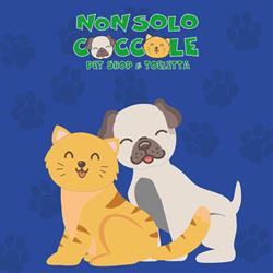 Non Solo Coccole Snc, Roma orari di apertura