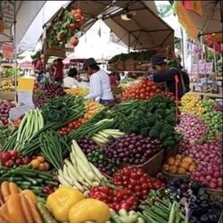 LAFRUTTERIA DEL POPOLO, Benevento orari di apertura