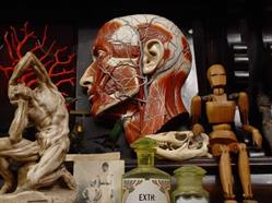 Nautilus Antiques, Torino orari di apertura