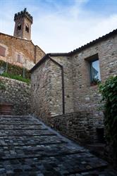 Casa del Calycanto, Santarcangelo di Romagna orari di apertura