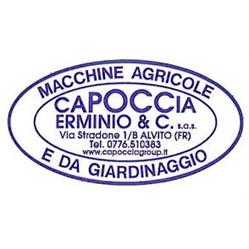 Capoccia Group, Alvito orari di apertura