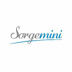 Sorgemini Trattamento Acque, Roma orari di apertura