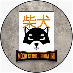 MOCHI SHIBA INU, Cerveteri orari di apertura