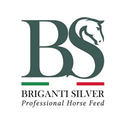 Briganti srl, Cortona orari di apertura
