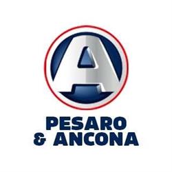 Mini Services S R L, Ancona orari di apertura