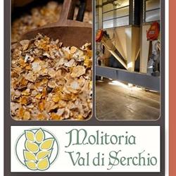 Molitoria Val Di Serchio Srl, Marlia orari di apertura