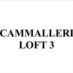 Cammalleri Loft 3, Caltanissetta orari di apertura